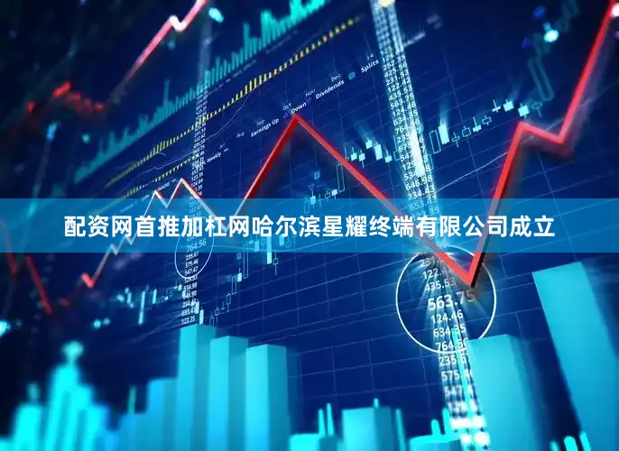 配资网首推加杠网哈尔滨星耀终端有限公司成立