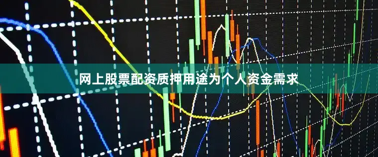 网上股票配资质押用途为个人资金需求