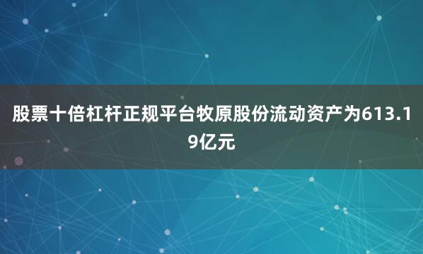 股票十倍杠杆正规平台牧原股份流动资产为613.19亿元