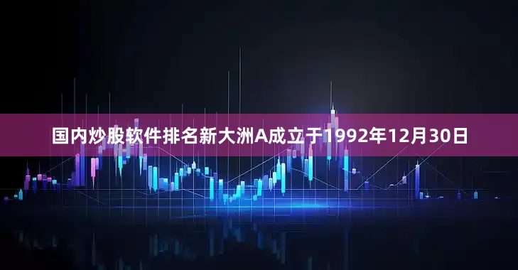 国内炒股软件排名新大洲A成立于1992年12月30日