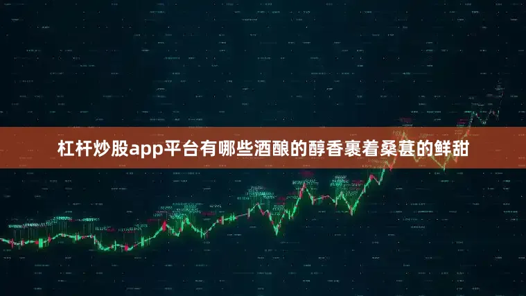 杠杆炒股app平台有哪些酒酿的醇香裹着桑葚的鲜甜