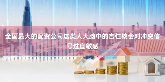 全国最大的配资公司这类人大脑中的杏仁核会对冲突信号过度敏感